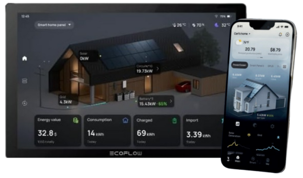 EcoFlow Power Insght &amp; App